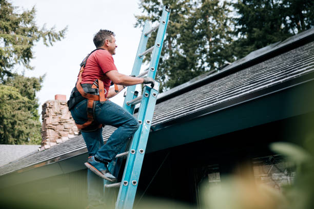 Best Green or Eco-Friendly Roofing Solutions  in Burton, OH